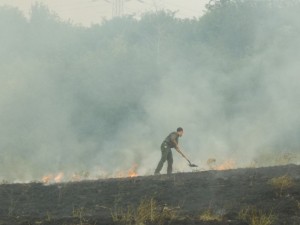 A tűz már az erdőt veszélyezteti_DSCN1559_Esztó Kinga