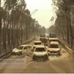 Portugál erdőtűz után