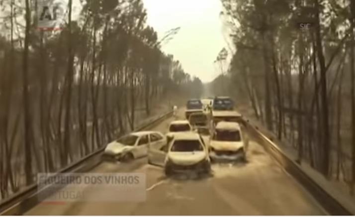 Portugál erdőtűz után